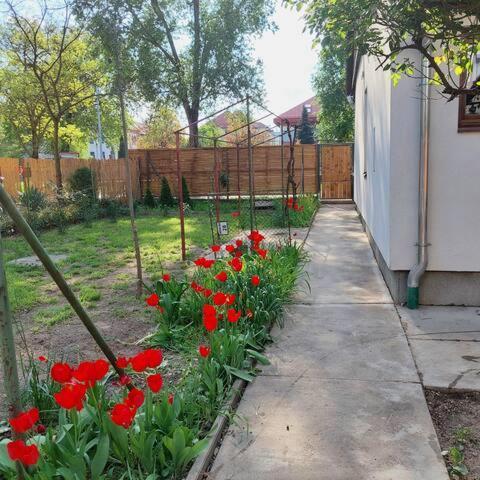 Ujszeged Apartman מראה חיצוני תמונה