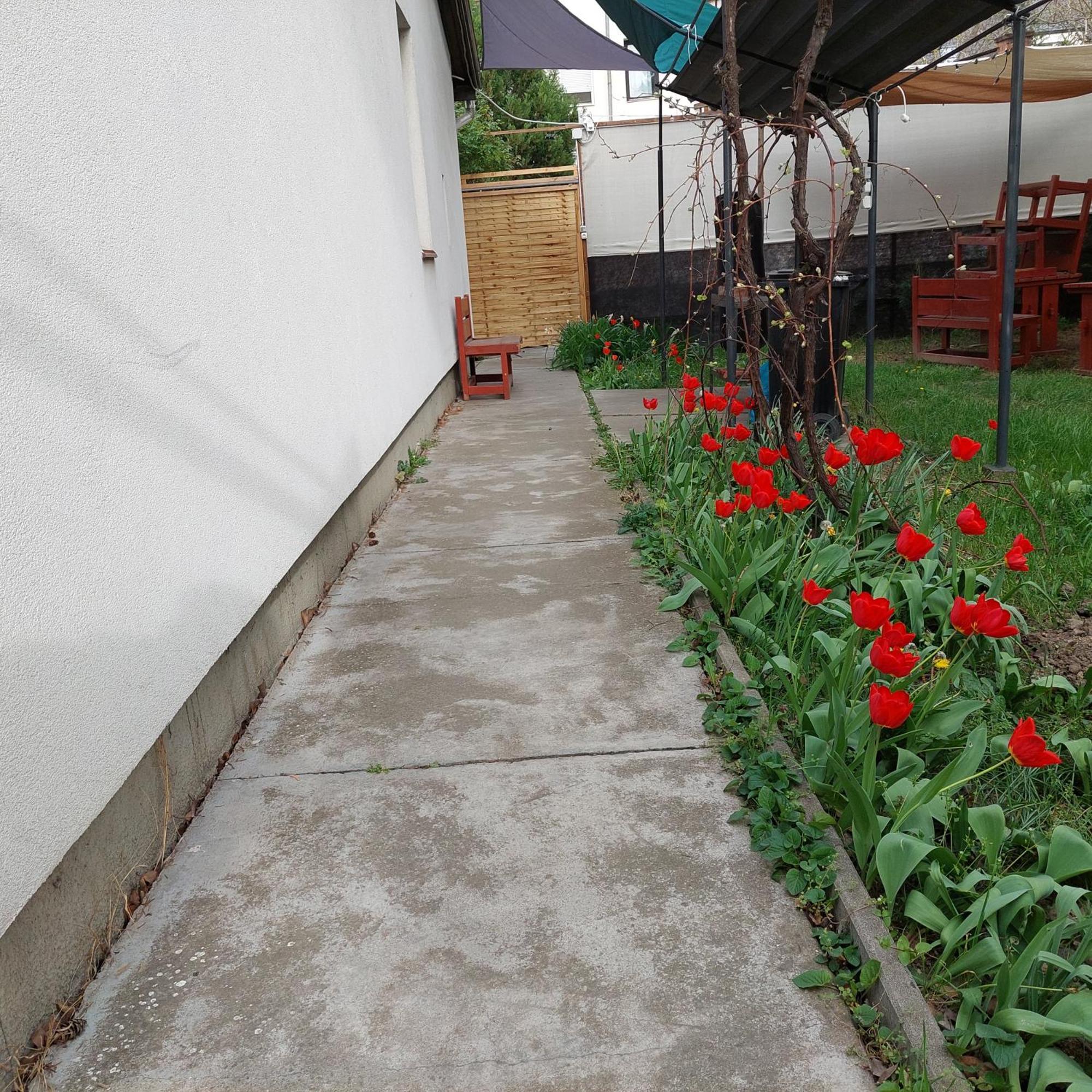 Ujszeged Apartman מראה חיצוני תמונה